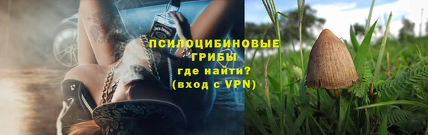 mdpv Осинники