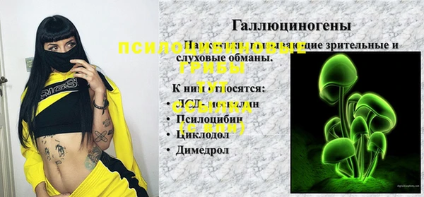 гидра Алексин