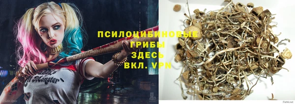 mdpv Осинники